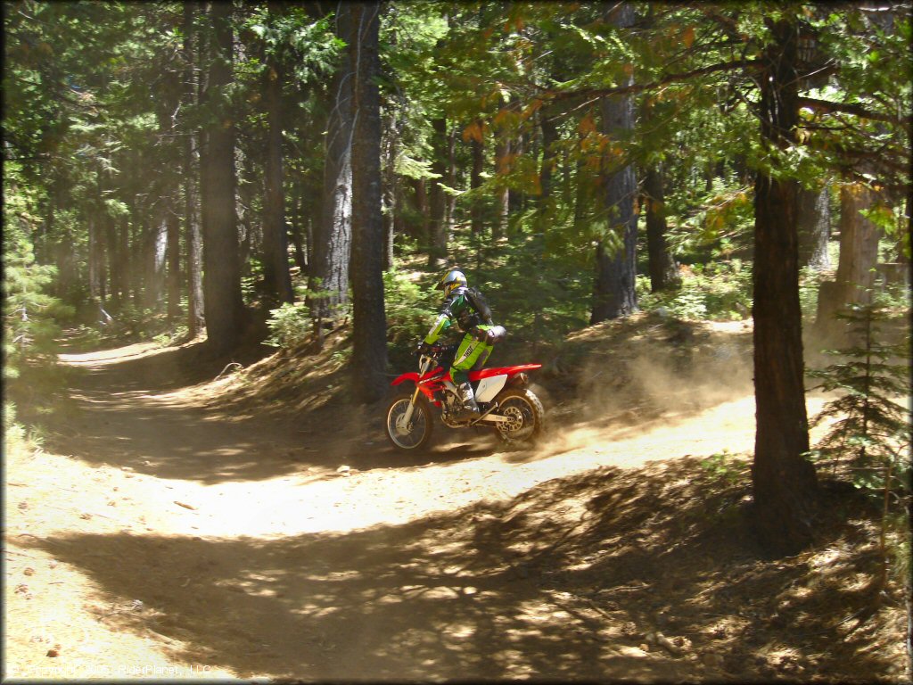 Honda CRF Motorcycle at Gold Note Trails