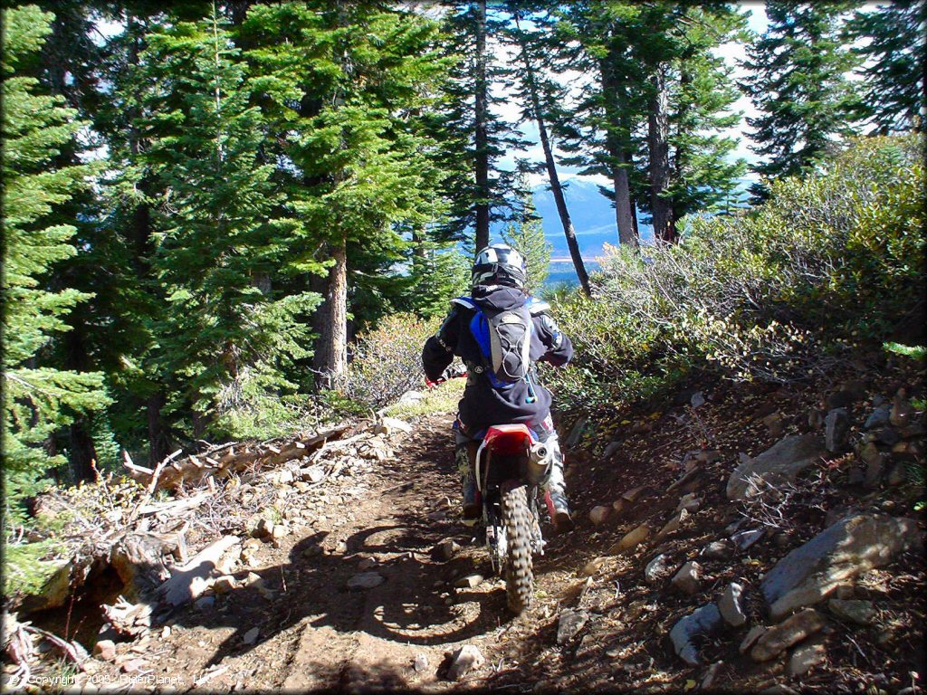 Honda CRF Dirtbike at Prosser Hill OHV Area Trail