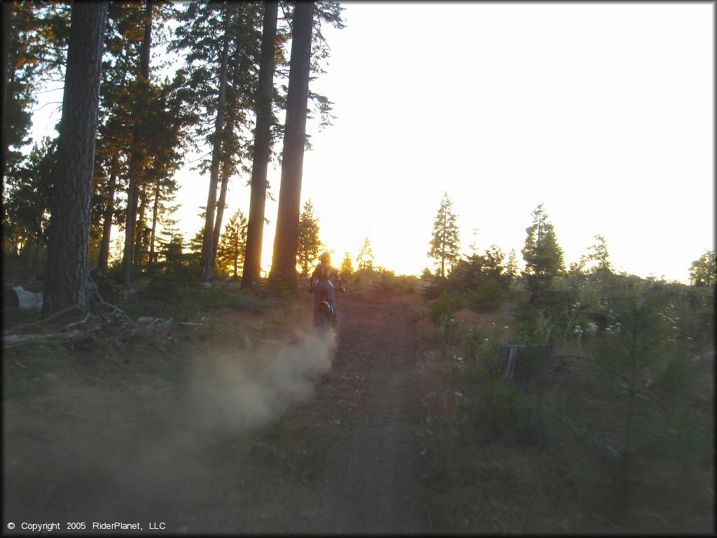 Honda CRF Dirt Bike at Black Springs OHV Network Trail