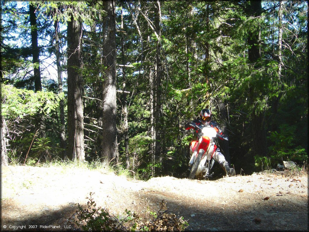 Honda CRF Dirtbike at Pilot Creek OHV Trails