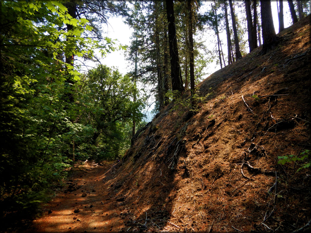 Humbug OHV Area Trail