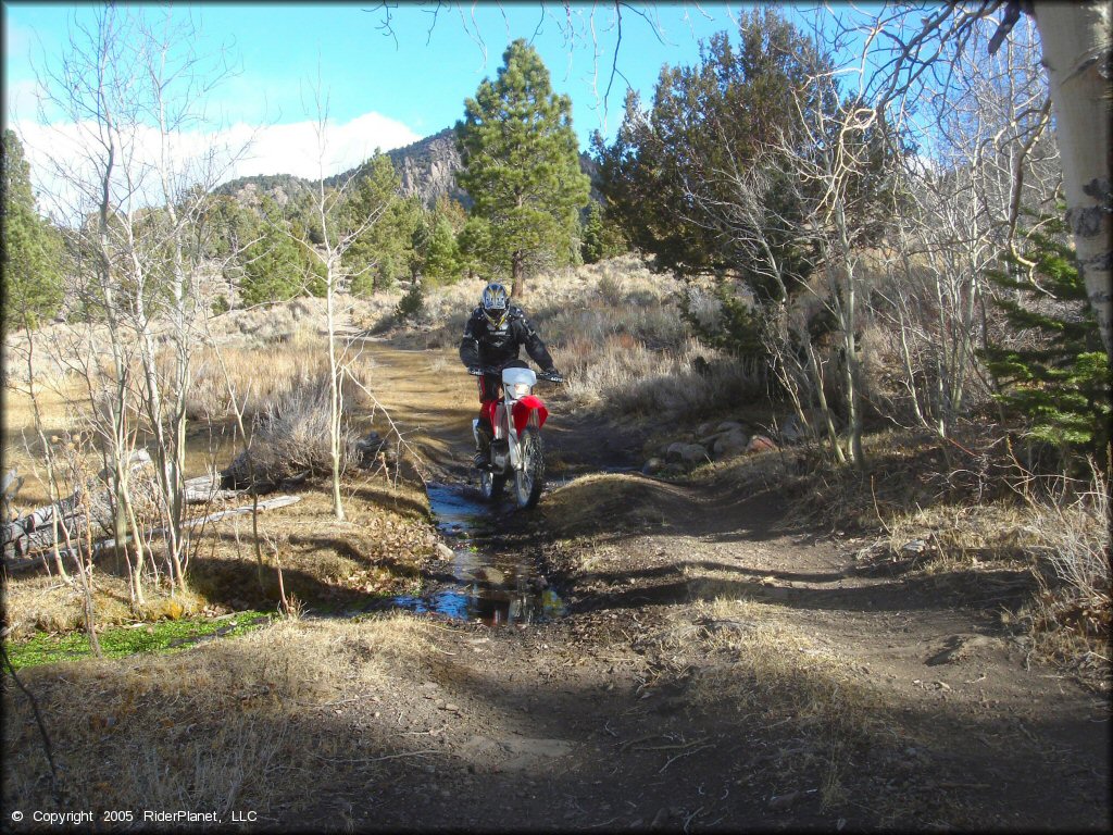 Honda CRF Dirt Bike in the water at Leviathan Recreation Area Trail