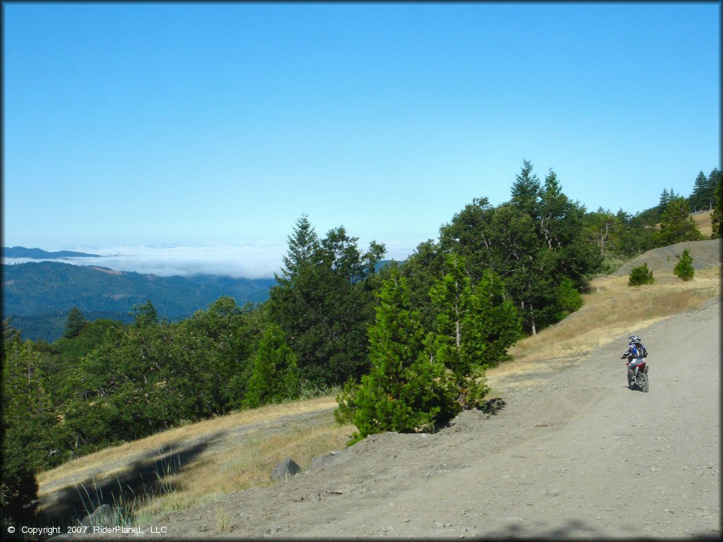 Woman riding a Honda CRF Dirt Bike at Pilot Creek OHV Trails