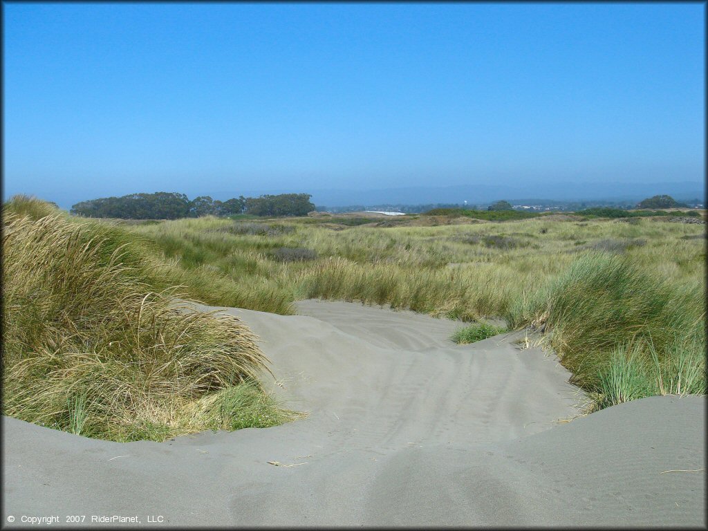 Example of terrain at Samoa Sand Dunes OHV Area