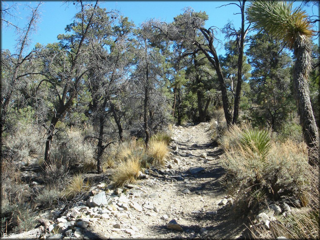 A rocky section of trail for ATVs, UTVs and motorcycles.