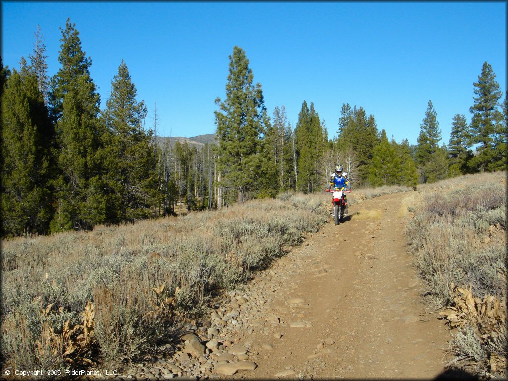 Honda CRF Dirt Bike at Billy Hill OHV Route Trail