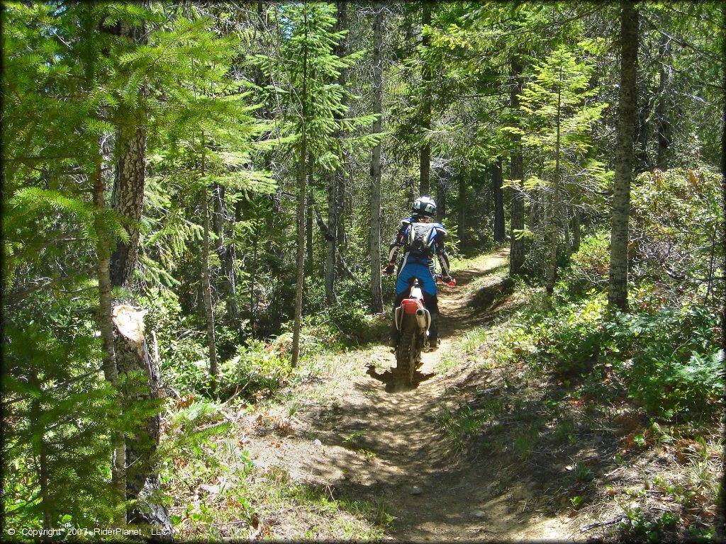 Girl riding a Honda CRF Motorcycle at High Dome Trail