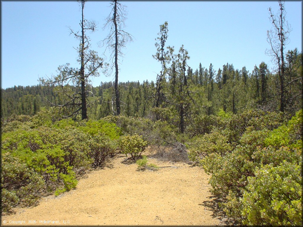 Scenic view of South Cow Mountain Trail