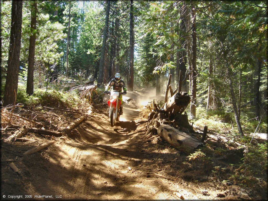 Honda CRF Dirt Bike at Elkins Flat OHV Routes Trail