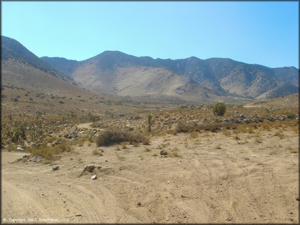 Scenic view at Dove Springs Trail