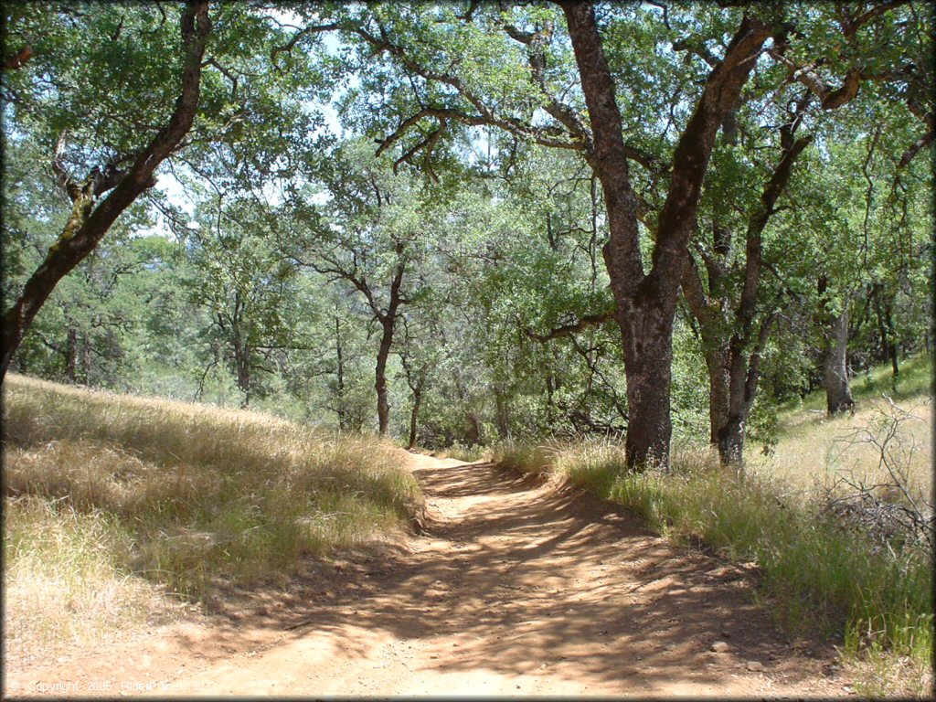 Example of terrain at Mammoth Bar OHV OHV Area