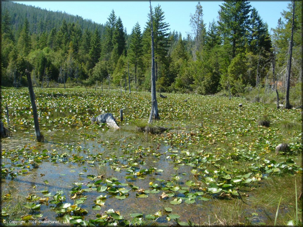 Scenic view of Rattlesnake Ridge Area Trail