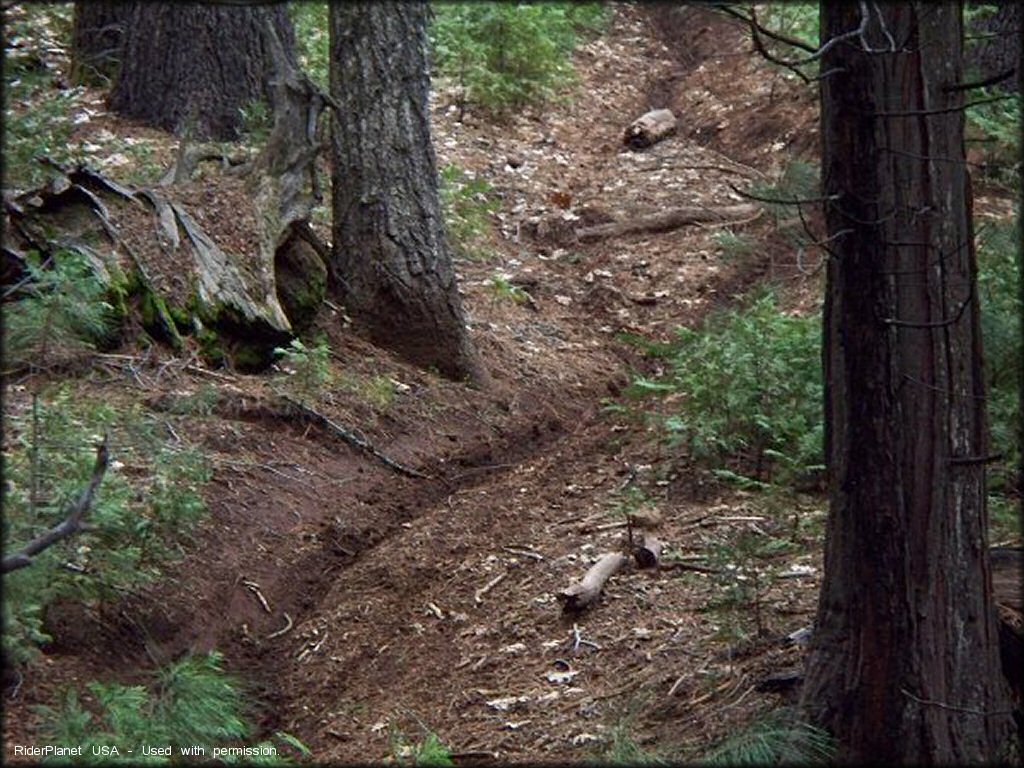 Crandall Peak And Deer Creek OHV Area Trail