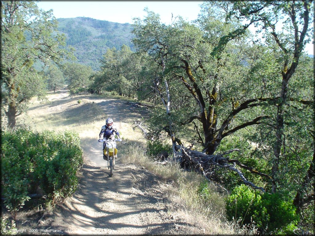 OHV at Penny Pines Trail