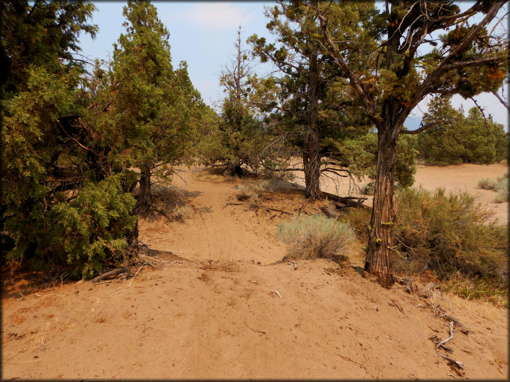 Juniper Flats OHV Area Trail