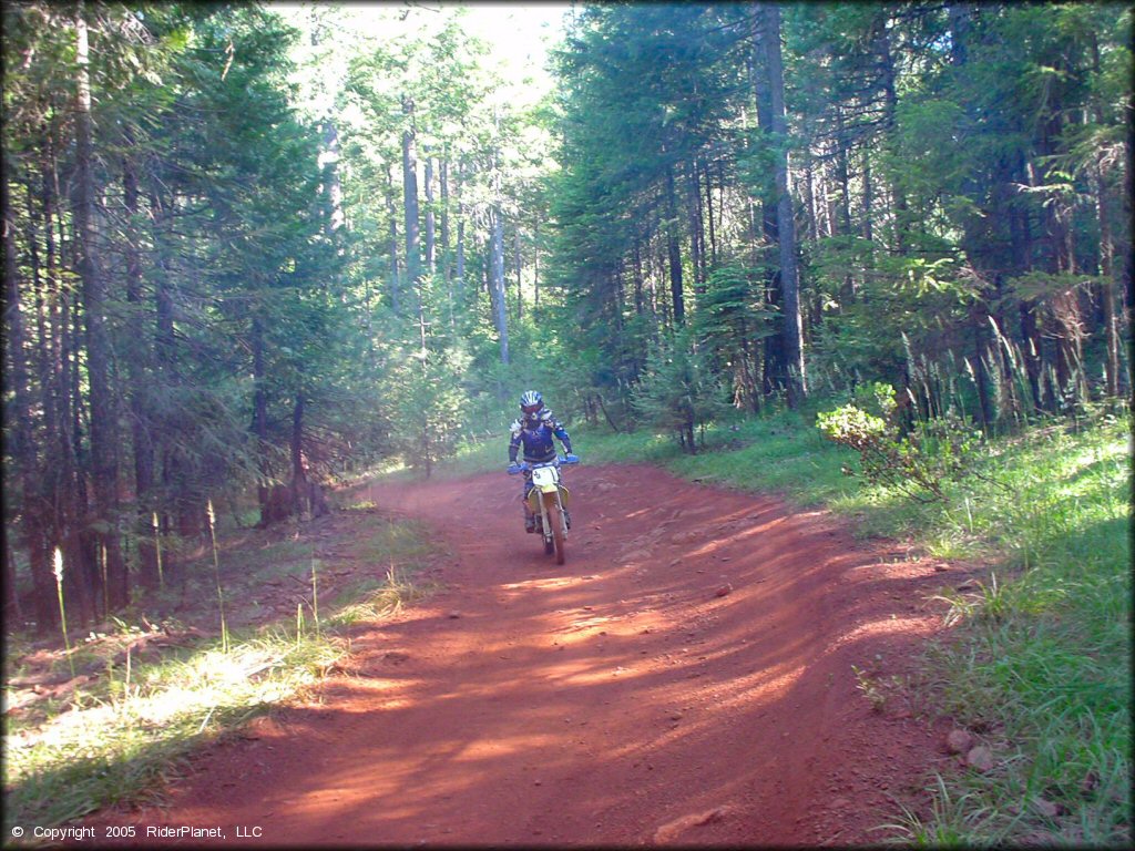 Suzuki RM100 navigating flat ATV trail through the woods.