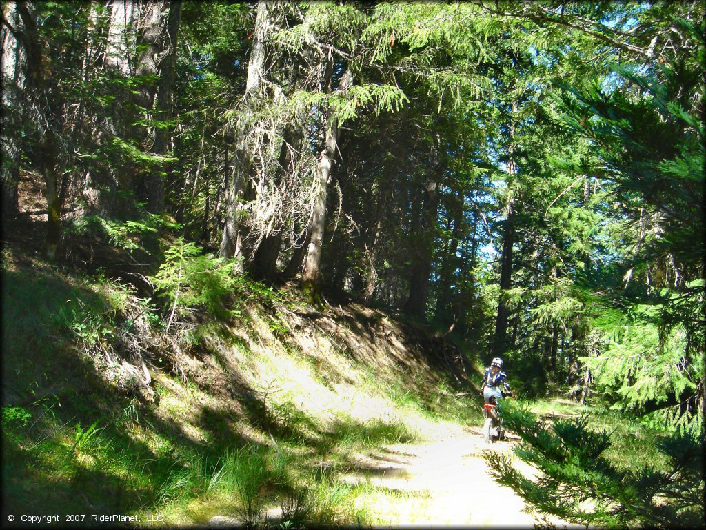 Girl riding a Honda CRF Off-Road Bike at Pilot Creek OHV Trails