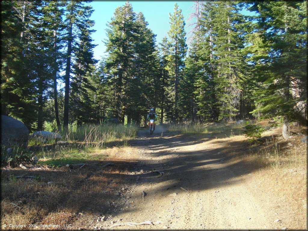 Honda CRF Dirt Bike at Black Springs OHV Network Trail