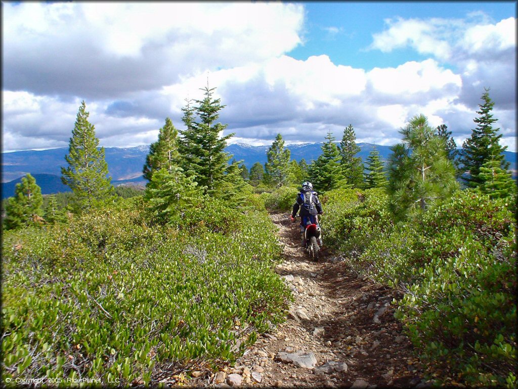 Honda CRF Motorbike at Prosser Hill OHV Area Trail