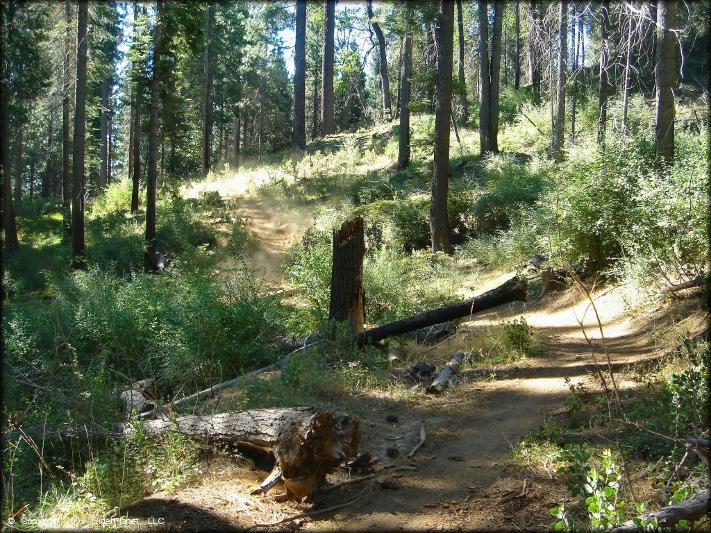 Miami Creek OHV Area Trail