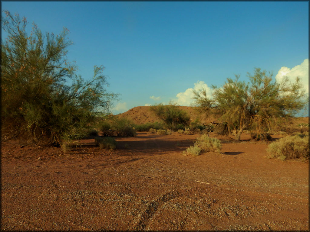 Crossroads OHV Area Trail