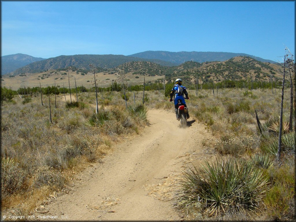 Honda CRF Motorcycle at Hungry Valley SVRA OHV Area