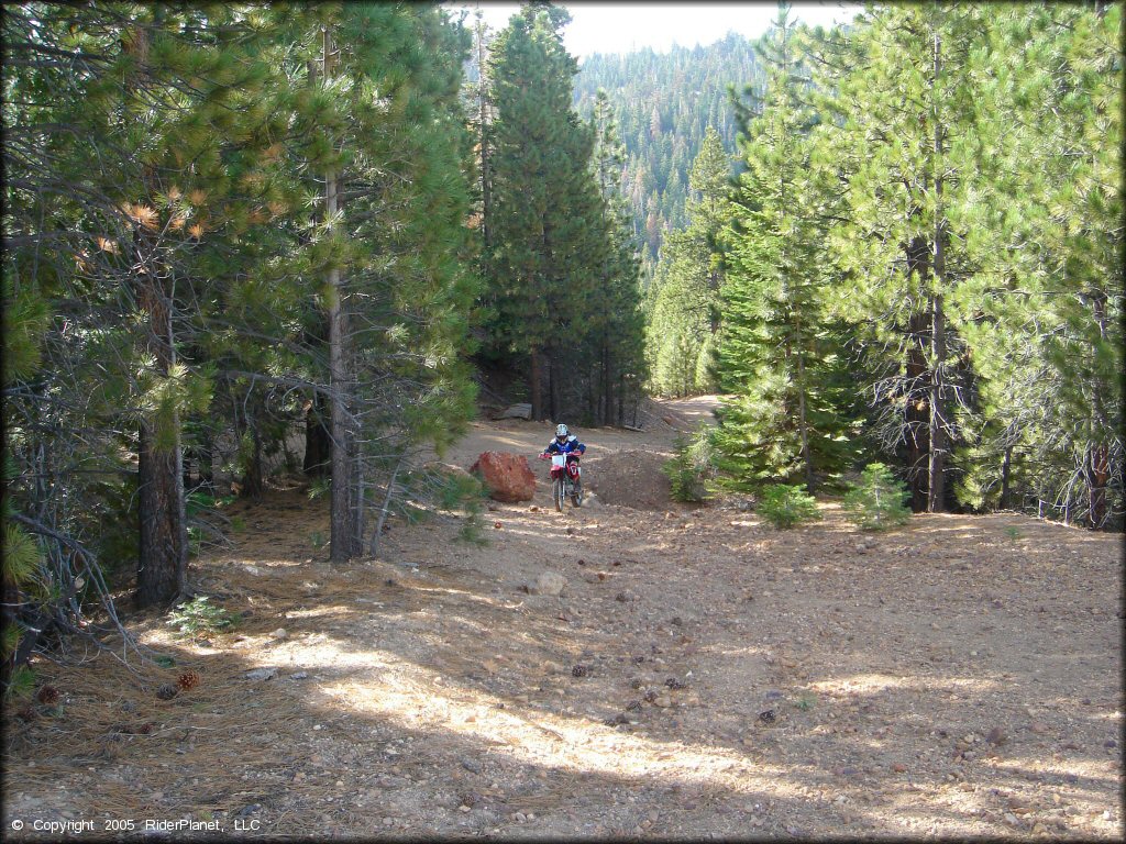 Honda CRF Motorcycle at Leviathan Recreation Area Trail