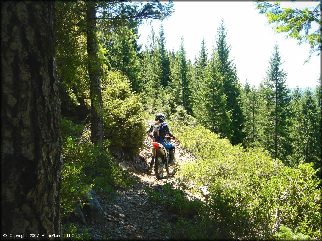 Girl riding a Honda CRF Motorcycle at High Dome Trail