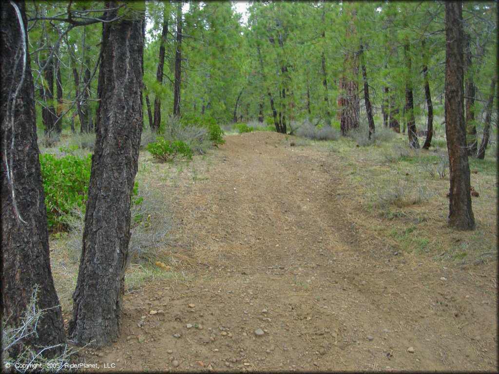 Verdi Peak OHV Trail