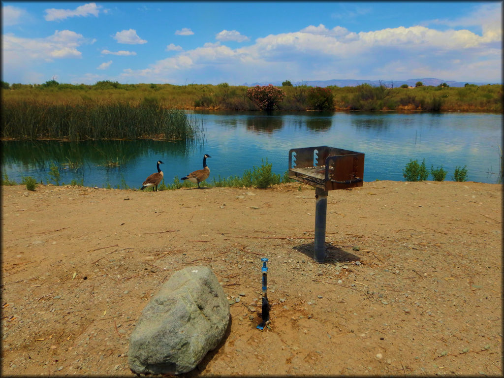 Moabi Regional Park OHV Area