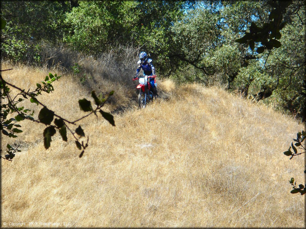 Honda CRF Dirt Bike at Santa Clara County Motorcycle Park OHV Area