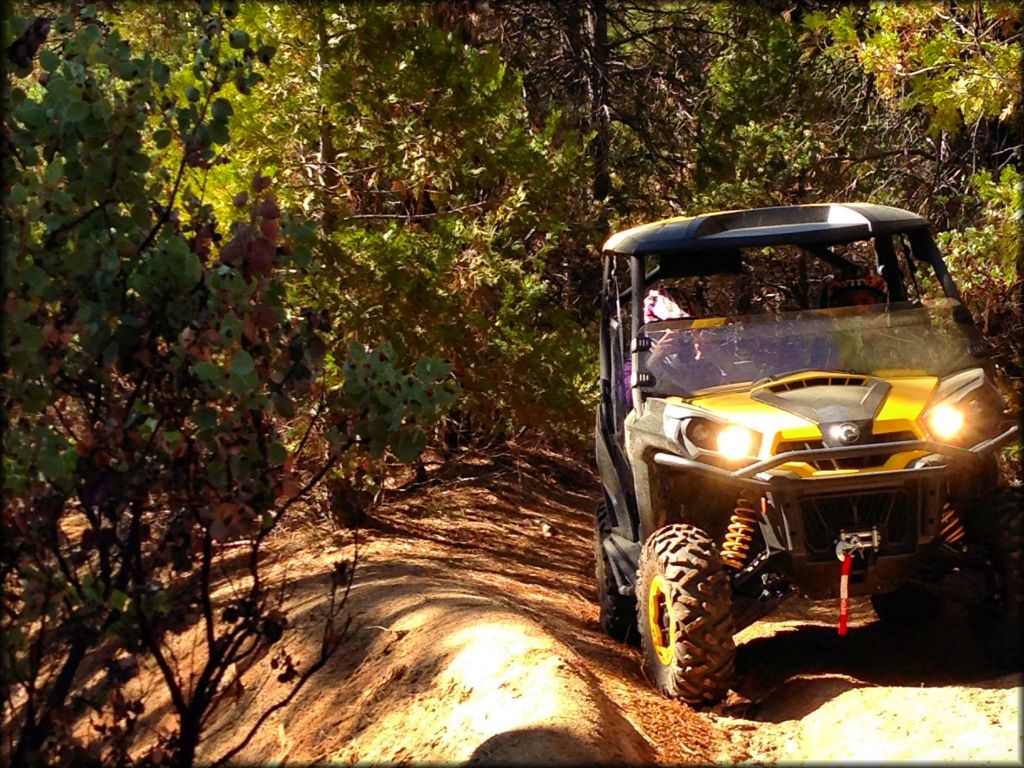 Millwood OHV Area Trail