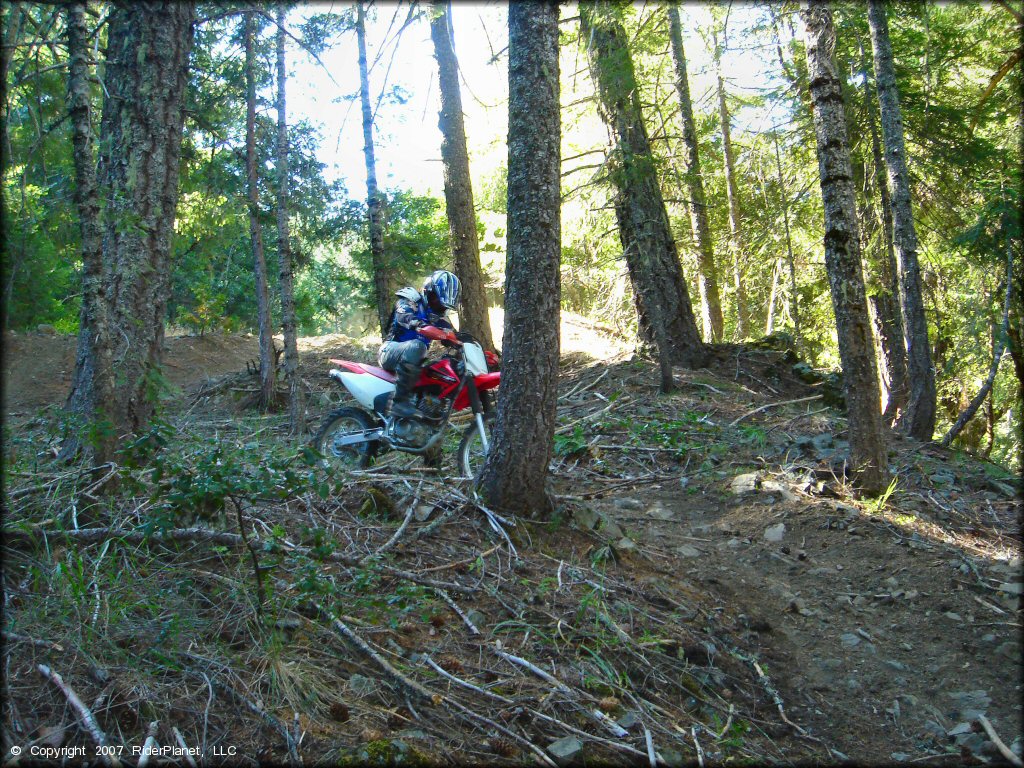 Girl riding a Honda CRF Dirt Bike at Pilot Creek OHV Trails