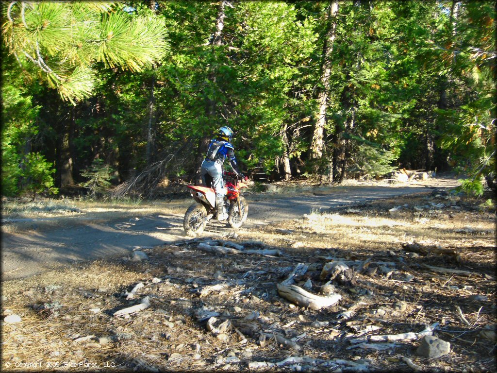 Honda CRF Motorcycle at Black Springs OHV Network Trail