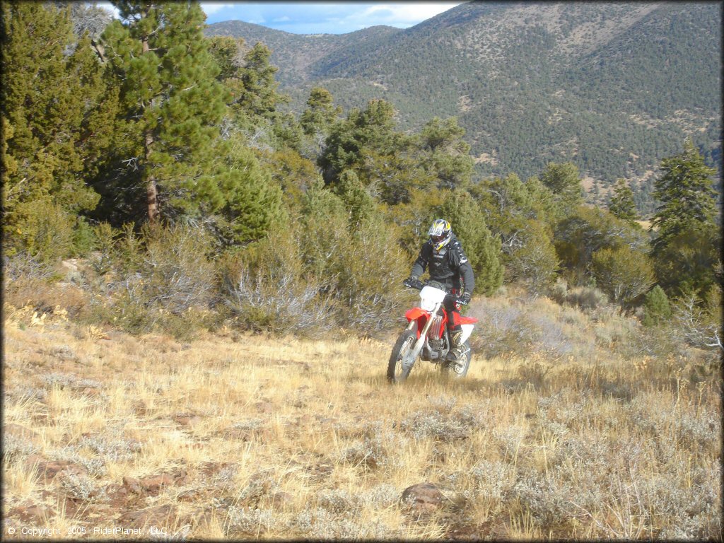 Honda CRF Off-Road Bike at Leviathan Recreation Area Trail