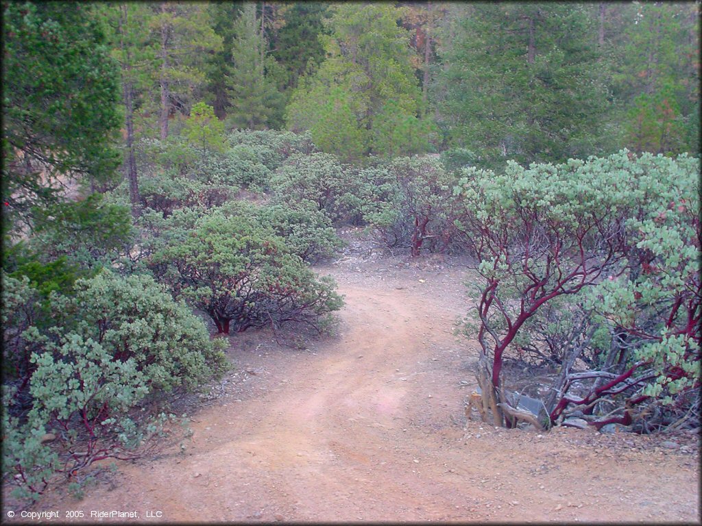 Example of terrain at Greenhorn Trail