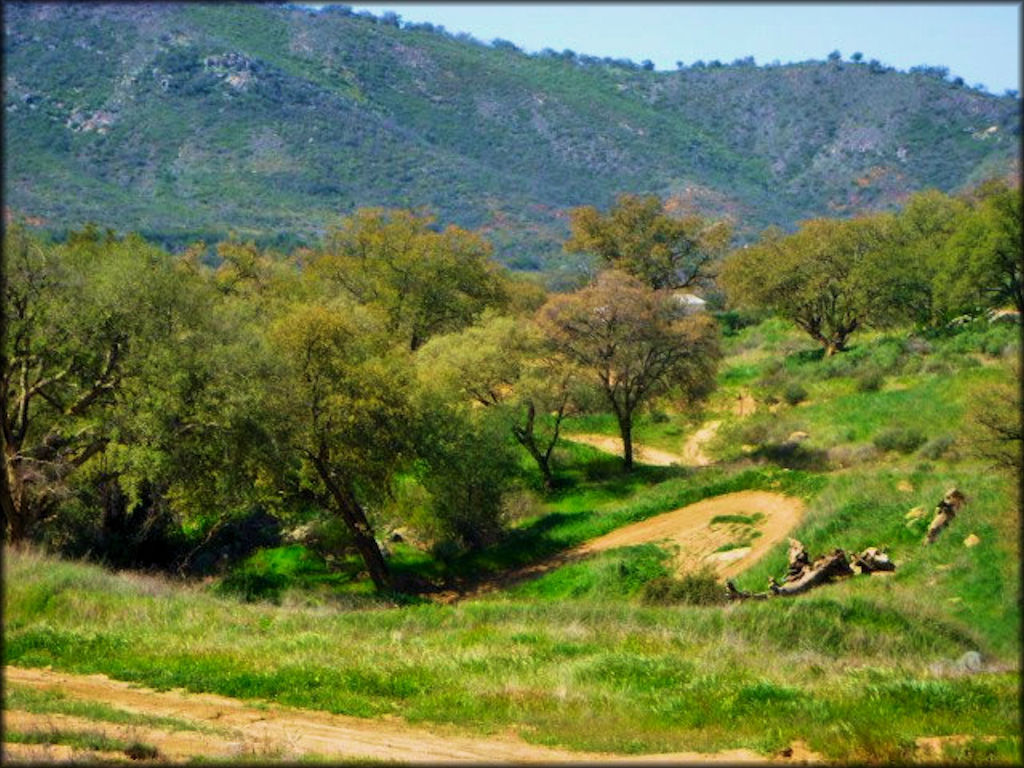 Wide view of motocross track.