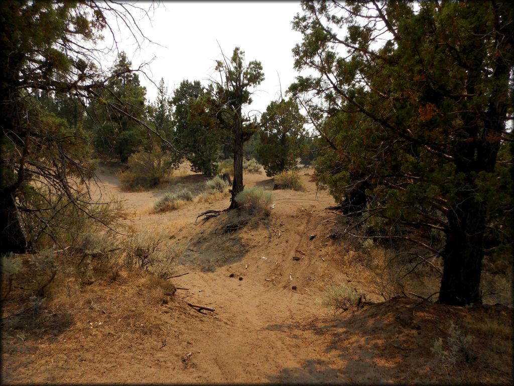 Juniper Flats OHV Area Trail