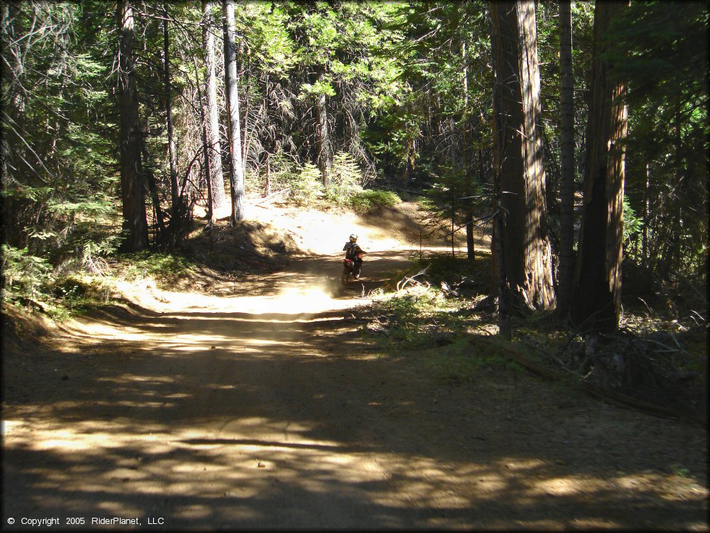 Honda CRF Motorbike at Interface Recreation Trails