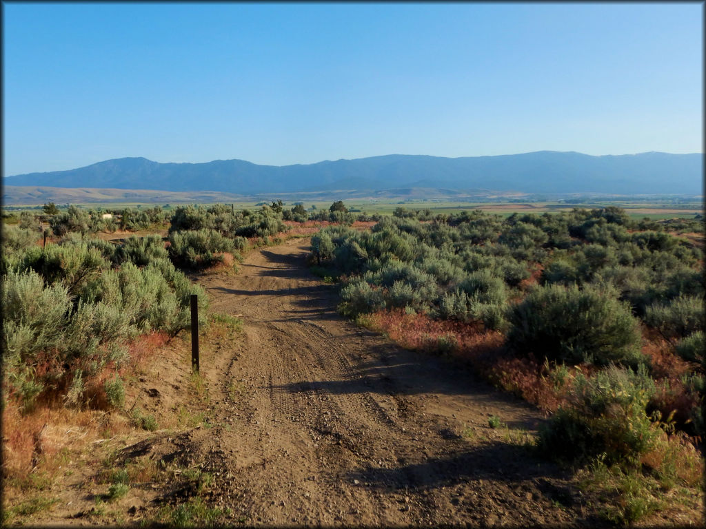 Rice Canyon OHV Area Trail