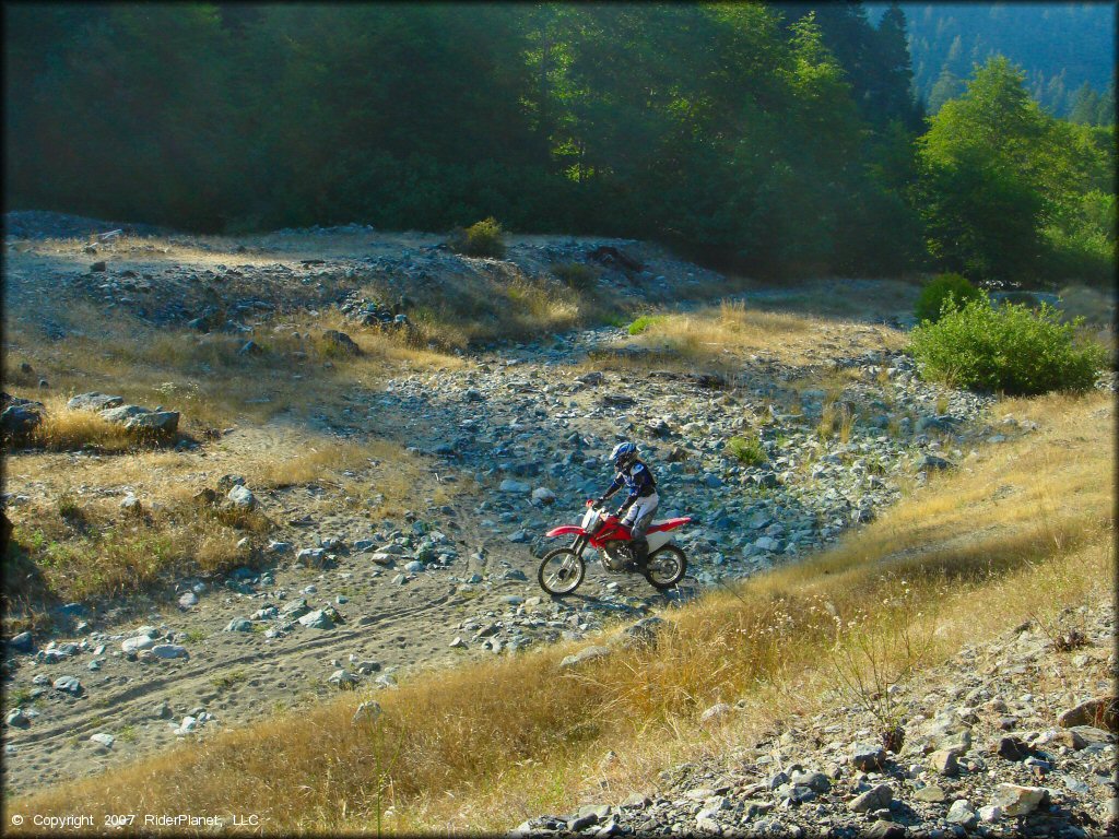 Honda CRF Dirt Bike at Lubbs Trail