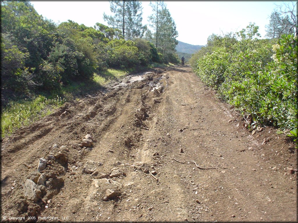 View of rutted and rugged 4x4 trail with a couple mud puddles.