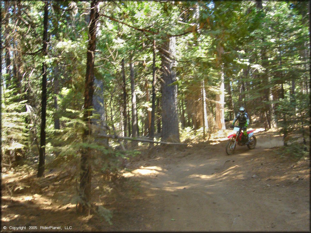 Honda CRF Dirt Bike at Gold Note Trails