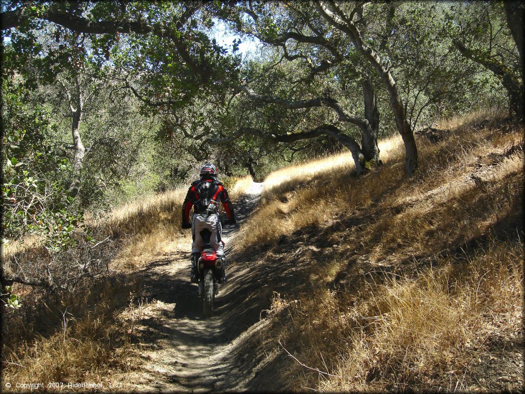 Honda CRF Motorcycle at Santa Clara County Motorcycle Park OHV Area