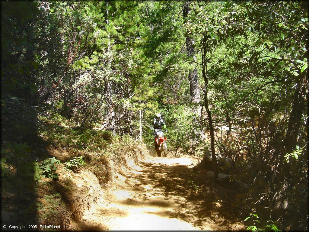 Honda CRF Trail Bike at Interface Recreation Trails