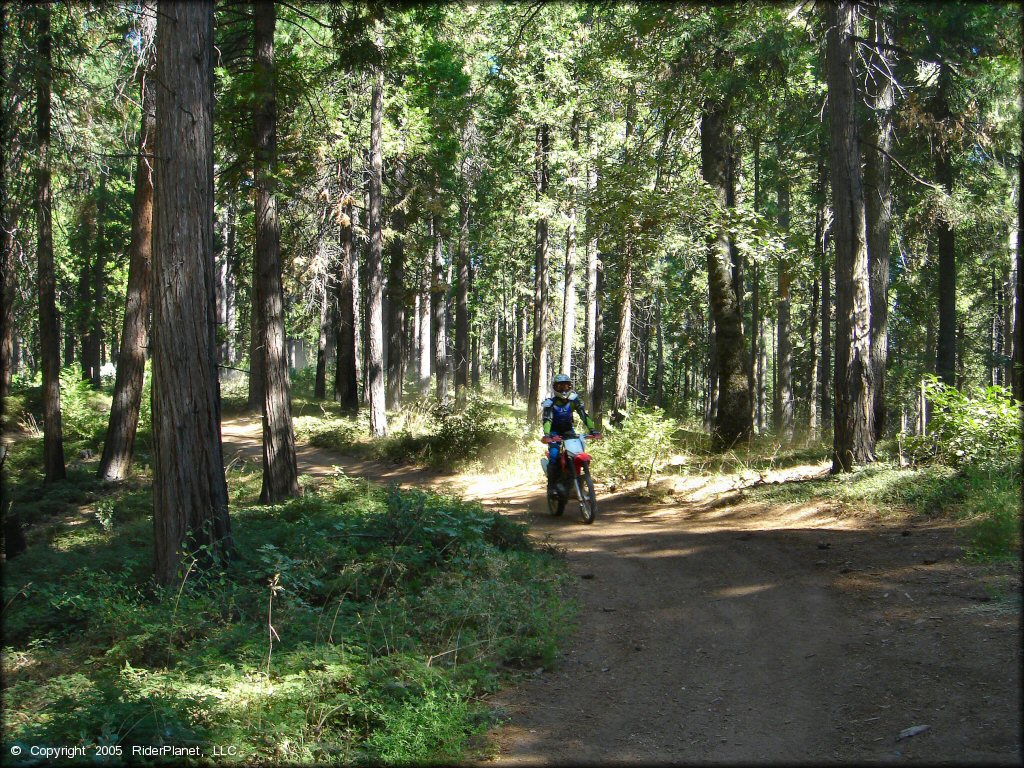 Honda CRF Dirt Bike at Miami Creek OHV Area Trail