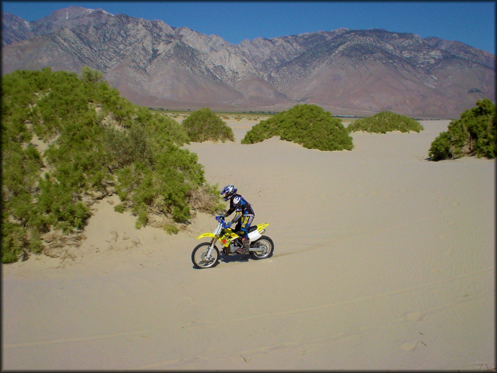 OHV at Olancha Dunes OHV Area