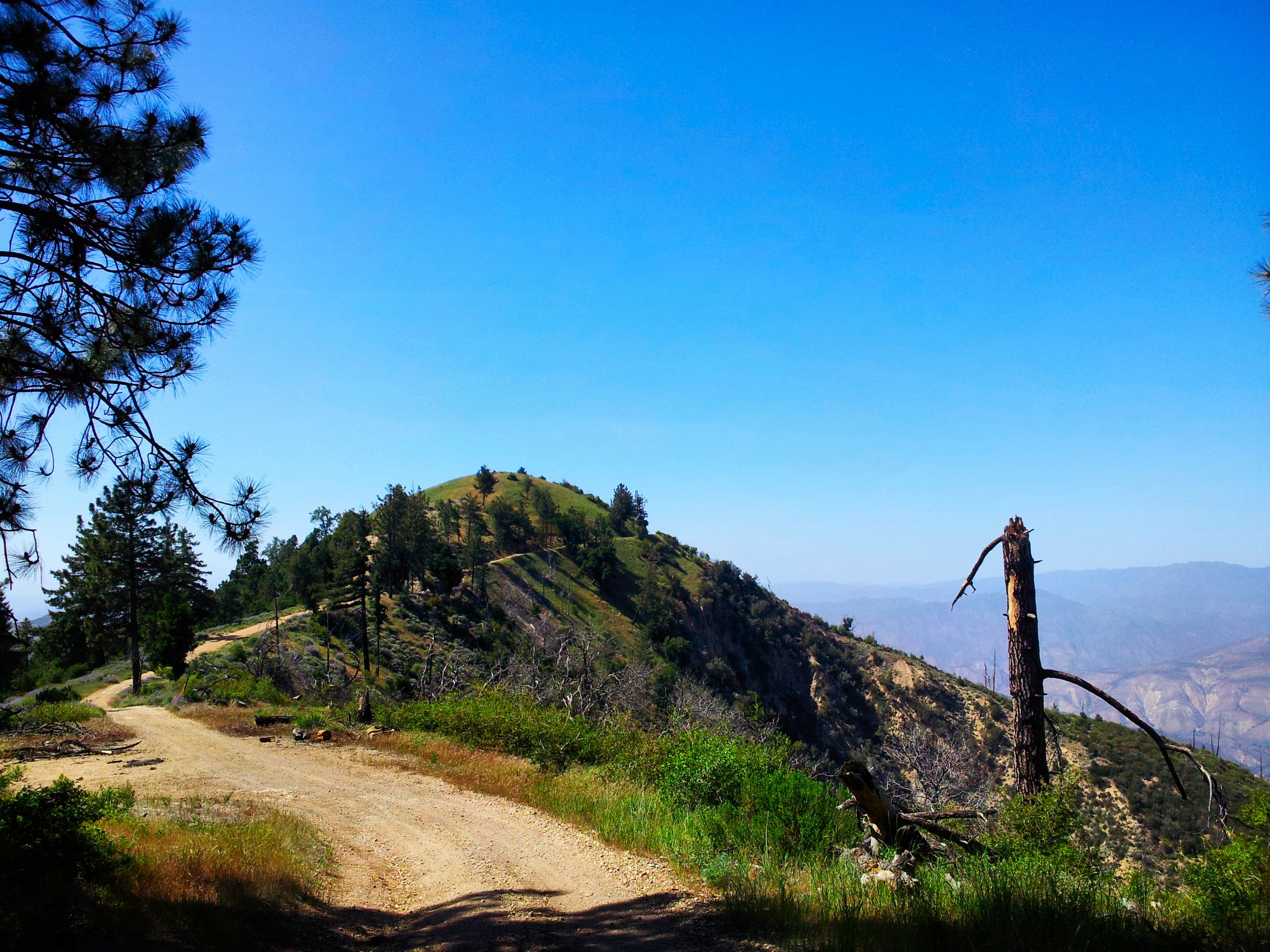 Figueroa Mountain OHV Area Trail