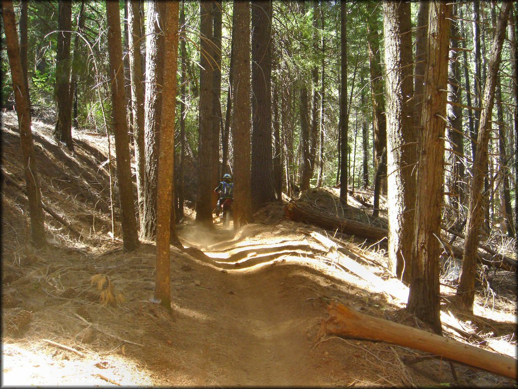 Honda CRF Off-Road Bike at Elkins Flat OHV Routes Trail