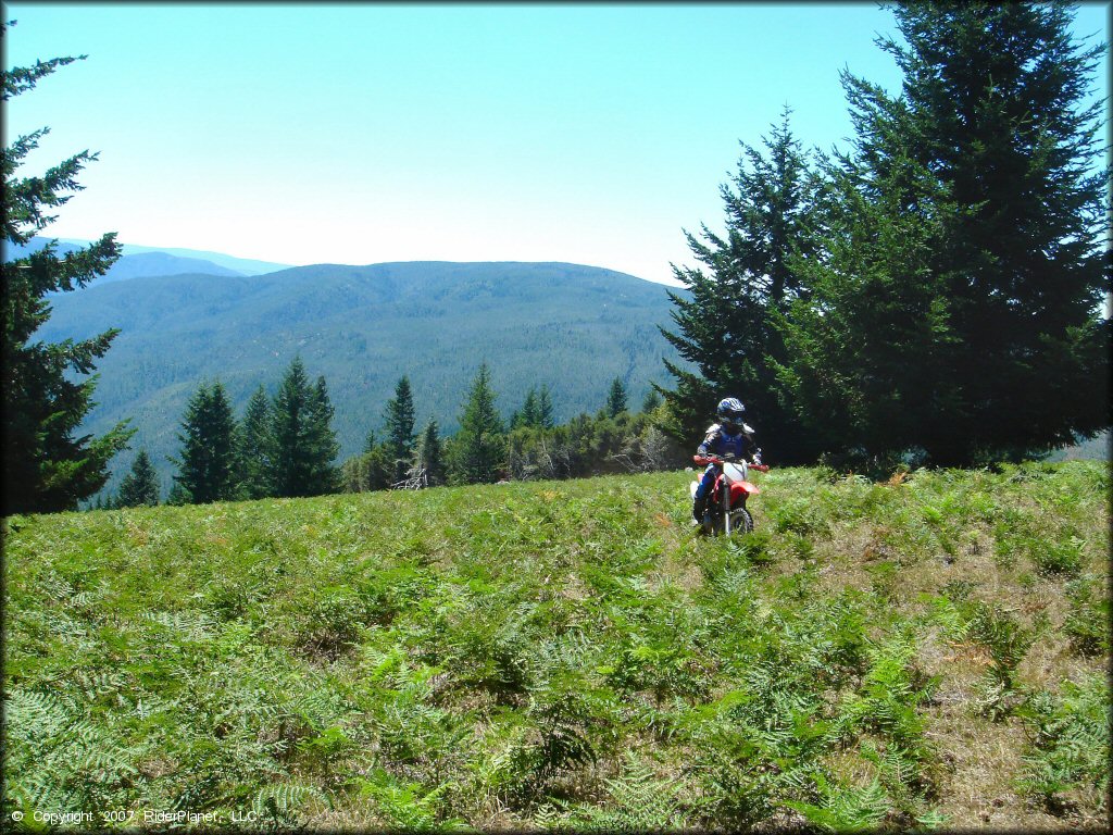 Girl on a OHV at High Dome Trail